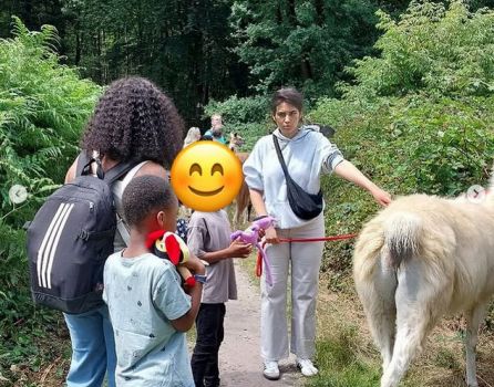 Lamawanderung im Reichswald