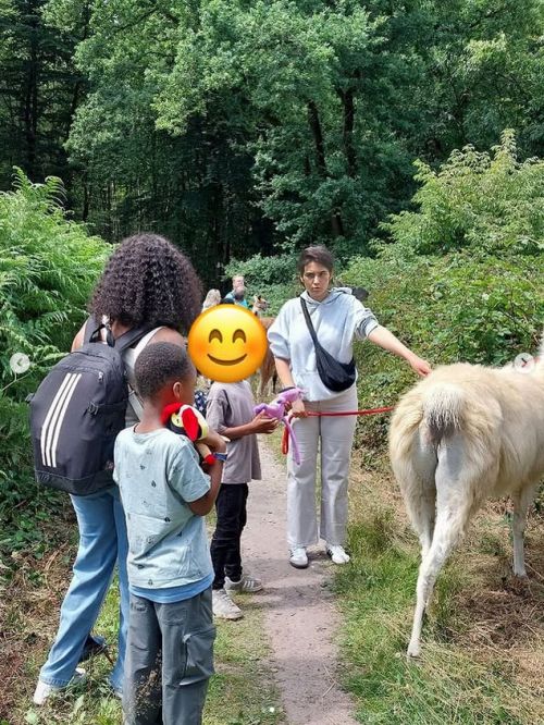 Lamawanderung im Reichswald